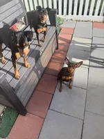 processed/1e391cdb-aa39-4875-9bcb-4076faa64de9/facility/2c7caa7a-b241-4ad3-a5be-1501f8c2df90