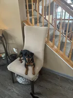 processed/1e391cdb-aa39-4875-9bcb-4076faa64de9/facility/7d590ca3-1004-472f-893a-3df6a2689804