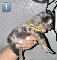 processed/1e396380-5e9f-421f-8660-d0d8ba0098af/listing/70911167-8ac2-43ac-9b28-7d61b4136085/711c8f4a-1094-42a7-89da-ae4d4203da2f