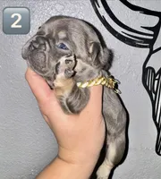 processed/1e396380-5e9f-421f-8660-d0d8ba0098af/listing/93084725-6402-48f3-a13a-e6a56b3a1f7e/6271c2da-85bb-429e-af45-e92c01cb709b