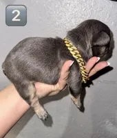 processed/1e396380-5e9f-421f-8660-d0d8ba0098af/listing/93084725-6402-48f3-a13a-e6a56b3a1f7e/63b624aa-0222-4e6b-b43f-b5d5c19ca426