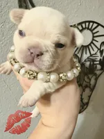 processed/1e396380-5e9f-421f-8660-d0d8ba0098af/listing/dc7cf82f-5947-4a0d-a531-8613a1c75f7c/bae5b6b3-d588-4efc-9a5c-b82496428ddf