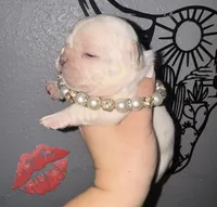 processed/1e396380-5e9f-421f-8660-d0d8ba0098af/listing/dc7cf82f-5947-4a0d-a531-8613a1c75f7c/f556b69d-b293-40a6-8e8a-6090d4fb4d95