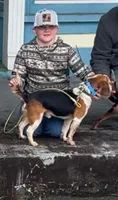 Ranger, a female Beagle for sale in Thayer, MO – Photo 4 of 4