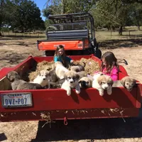 processed/1e3b1d4c-fd91-4d21-8f4d-f96ad5e3b4ce/facility/1e763a12-7329-459e-b331-46a664cb37a8