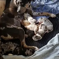 processed/1e3b1d4c-fd91-4d21-8f4d-f96ad5e3b4ce/facility/6fbe70e5-431a-44f8-ba91-29be3c4596e6