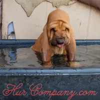 processed/1e3b1d4c-fd91-4d21-8f4d-f96ad5e3b4ce/facility/83df60c9-076f-459d-9474-4ed11f494690