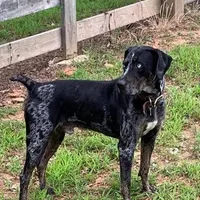 processed/1e3b1d4c-fd91-4d21-8f4d-f96ad5e3b4ce/facility/987737ad-180e-46d8-9e9f-1b92f65a149c