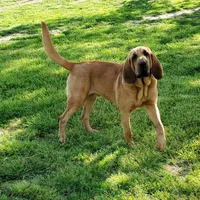 processed/1e3b1d4c-fd91-4d21-8f4d-f96ad5e3b4ce/facility/9e1f8c43-283e-4128-9111-9be0693da733