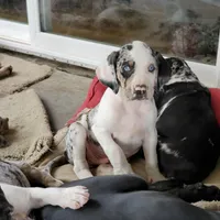 processed/1e3b1d4c-fd91-4d21-8f4d-f96ad5e3b4ce/facility/b1e8fb6e-bcc8-4b3a-ad42-07d0cabc5d56