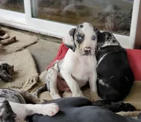 processed/1e3b1d4c-fd91-4d21-8f4d-f96ad5e3b4ce/facility/b1e8fb6e-bcc8-4b3a-ad42-07d0cabc5d56