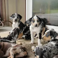 processed/1e3b1d4c-fd91-4d21-8f4d-f96ad5e3b4ce/facility/b5e1161d-ee3f-406d-bd6b-5ed4d4daa0c5