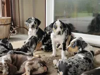 processed/1e3b1d4c-fd91-4d21-8f4d-f96ad5e3b4ce/facility/b5e1161d-ee3f-406d-bd6b-5ed4d4daa0c5