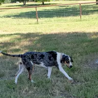 processed/1e3b1d4c-fd91-4d21-8f4d-f96ad5e3b4ce/facility/d73b50ac-a245-4d72-bdf3-9d1d6e030228