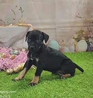 processed/1e3b1d4c-fd91-4d21-8f4d-f96ad5e3b4ce/listing/02848844-6067-4c48-ada8-bde2c937f1e2/1a377ce1-c017-42c5-99a1-50ec4c98f54e