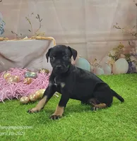 processed/1e3b1d4c-fd91-4d21-8f4d-f96ad5e3b4ce/listing/02848844-6067-4c48-ada8-bde2c937f1e2/256a36f1-60ac-4673-932c-13393542ca0a