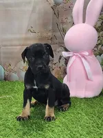 processed/1e3b1d4c-fd91-4d21-8f4d-f96ad5e3b4ce/listing/02848844-6067-4c48-ada8-bde2c937f1e2/60b4fa66-96eb-4a15-9241-0f812d8a4a11