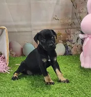 processed/1e3b1d4c-fd91-4d21-8f4d-f96ad5e3b4ce/listing/02848844-6067-4c48-ada8-bde2c937f1e2/8c906cdb-aaae-4e93-9300-d4757e64e16b