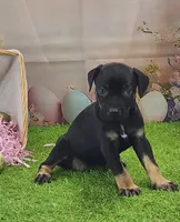 processed/1e3b1d4c-fd91-4d21-8f4d-f96ad5e3b4ce/listing/02848844-6067-4c48-ada8-bde2c937f1e2/aa1d2ca3-2f55-4677-b092-81b695741ae6