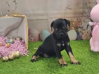 processed/1e3b1d4c-fd91-4d21-8f4d-f96ad5e3b4ce/listing/02848844-6067-4c48-ada8-bde2c937f1e2/bf731710-afc3-4452-b4b7-444827c76fda