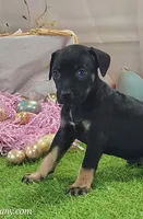 processed/1e3b1d4c-fd91-4d21-8f4d-f96ad5e3b4ce/listing/02848844-6067-4c48-ada8-bde2c937f1e2/d061f2a3-a2ac-48a4-8a07-c1684e83e0eb