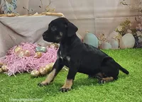 processed/1e3b1d4c-fd91-4d21-8f4d-f96ad5e3b4ce/listing/02848844-6067-4c48-ada8-bde2c937f1e2/f73a07c2-5605-4d15-ad3b-0be845c52962