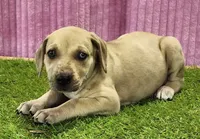 processed/1e3b1d4c-fd91-4d21-8f4d-f96ad5e3b4ce/listing/0df76af5-e4a4-48b4-8b15-7dfb0a621663/136ea460-9ecb-457a-8f88-4132f34bdcac