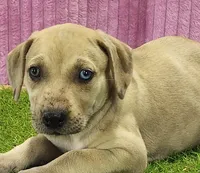 processed/1e3b1d4c-fd91-4d21-8f4d-f96ad5e3b4ce/listing/0df76af5-e4a4-48b4-8b15-7dfb0a621663/3a894050-c3a9-475f-a446-4d4f120e999c