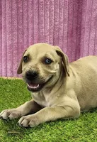 processed/1e3b1d4c-fd91-4d21-8f4d-f96ad5e3b4ce/listing/0df76af5-e4a4-48b4-8b15-7dfb0a621663/8e9b4d09-c033-4ecc-aade-b7f05a68438c