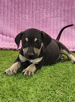 processed/1e3b1d4c-fd91-4d21-8f4d-f96ad5e3b4ce/listing/1aa76733-2d82-4376-9bb5-77095cb330c1/4469a85c-33c1-44fc-b868-0e57f7b68d6d