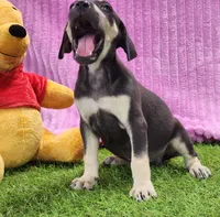 processed/1e3b1d4c-fd91-4d21-8f4d-f96ad5e3b4ce/listing/1aa76733-2d82-4376-9bb5-77095cb330c1/81421fad-e7c2-424c-adae-0b0d862ab11d