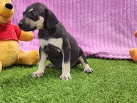 processed/1e3b1d4c-fd91-4d21-8f4d-f96ad5e3b4ce/listing/1aa76733-2d82-4376-9bb5-77095cb330c1/975530a8-5c72-4c35-9d7f-019ffe925e5c