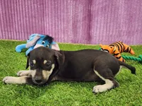 processed/1e3b1d4c-fd91-4d21-8f4d-f96ad5e3b4ce/listing/1cc636d9-0031-4aeb-b1e6-55005ed9bf8e/26b6d8e3-0ce5-4cfe-84a4-62530fded7d4