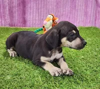 processed/1e3b1d4c-fd91-4d21-8f4d-f96ad5e3b4ce/listing/1cc636d9-0031-4aeb-b1e6-55005ed9bf8e/5c1568e2-f694-4bad-a114-734b2c3c9cde