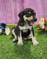 processed/1e3b1d4c-fd91-4d21-8f4d-f96ad5e3b4ce/listing/1cc636d9-0031-4aeb-b1e6-55005ed9bf8e/f0e24b96-a0fd-4e38-a864-deb244edb6a0