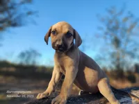 processed/1e3b1d4c-fd91-4d21-8f4d-f96ad5e3b4ce/listing/1fb45262-0e9d-4d98-94ec-193dea3f2e12/0c1f329e-8e05-4341-bd1c-d8d993e984d5