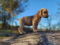 processed/1e3b1d4c-fd91-4d21-8f4d-f96ad5e3b4ce/listing/1fb45262-0e9d-4d98-94ec-193dea3f2e12/4c7336f6-e595-41ff-bb2f-68d6cfbc54c1