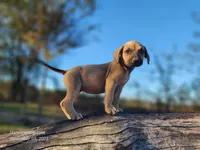 processed/1e3b1d4c-fd91-4d21-8f4d-f96ad5e3b4ce/listing/1fb45262-0e9d-4d98-94ec-193dea3f2e12/79467e31-daf1-4076-8fd9-ae1e5ea4ffb5