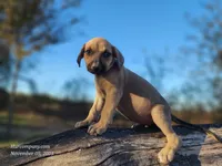 processed/1e3b1d4c-fd91-4d21-8f4d-f96ad5e3b4ce/listing/1fb45262-0e9d-4d98-94ec-193dea3f2e12/91c2a59f-5b4c-45bd-b80b-466994b238f4