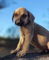 processed/1e3b1d4c-fd91-4d21-8f4d-f96ad5e3b4ce/listing/1fb45262-0e9d-4d98-94ec-193dea3f2e12/a73d5453-4234-4f08-bb7d-29bba2665375