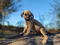 processed/1e3b1d4c-fd91-4d21-8f4d-f96ad5e3b4ce/listing/1fb45262-0e9d-4d98-94ec-193dea3f2e12/ea87fcb4-1c69-4c57-9c55-b33f4ae96b80