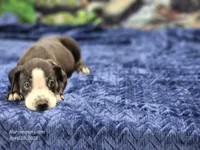 processed/1e3b1d4c-fd91-4d21-8f4d-f96ad5e3b4ce/listing/36b32d2c-6372-4fa6-be22-ad71d3139f7e/1ec32ef3-6e43-4336-9dc1-e77332796e7e