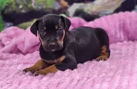 processed/1e3b1d4c-fd91-4d21-8f4d-f96ad5e3b4ce/listing/416fa5ba-460a-42f8-8420-2dd9d7015299/287f3195-f1f0-4bd5-a3df-2b3bcbc7b085