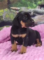 processed/1e3b1d4c-fd91-4d21-8f4d-f96ad5e3b4ce/listing/416fa5ba-460a-42f8-8420-2dd9d7015299/4b8b5247-57a0-41d6-b1e1-ba14e462db48