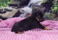 processed/1e3b1d4c-fd91-4d21-8f4d-f96ad5e3b4ce/listing/416fa5ba-460a-42f8-8420-2dd9d7015299/7604b0d6-1b2e-4bee-b2a4-14ff4d3fa7ea