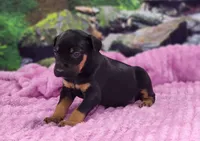 processed/1e3b1d4c-fd91-4d21-8f4d-f96ad5e3b4ce/listing/416fa5ba-460a-42f8-8420-2dd9d7015299/a4e09cf6-ac92-44f6-9dbf-c3809a5b98af