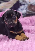 processed/1e3b1d4c-fd91-4d21-8f4d-f96ad5e3b4ce/listing/416fa5ba-460a-42f8-8420-2dd9d7015299/cc13a794-f2d3-424f-be77-d07ceba6d37e