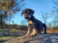 processed/1e3b1d4c-fd91-4d21-8f4d-f96ad5e3b4ce/listing/4a05b7dc-bfc6-4126-8abf-e01339356fcd/dace4cc5-2b7a-4fa8-b6e4-fb814d6bc86e