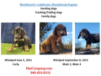 processed/1e3b1d4c-fd91-4d21-8f4d-f96ad5e3b4ce/listing/5cb26c9f-1c51-4699-a8a1-f53befff67cd/9d7ad662-6b99-4240-bfa5-2a937b0ae475