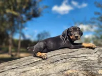 processed/1e3b1d4c-fd91-4d21-8f4d-f96ad5e3b4ce/listing/698370f8-3662-4cf1-b923-ce93224ed19a/2f3cce47-2120-4947-8f07-e5481191d244